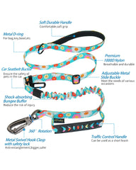 Hotsky heavy-duty leash with 4-6ft length and elastic stretch.