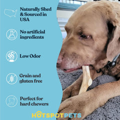 Hotspot Pets deer antler no odor chew for indoor use