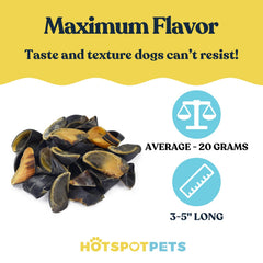 Hotspot Pets dog-chews cow hooves gnawing closeup highlights long-lasting entertainment.