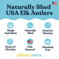 Elk antler dog chews 4-6 inches, long-lasting entertainment from Hotspot Pets.