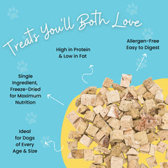 Hotspot Pets Freeze Dried Beef Liver Treats pieces closeup, single-ingredient nutrition for training
