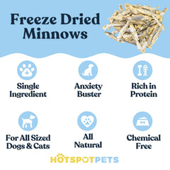 Hotspot Pets cat enjoying minnows as training reward