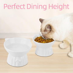 Hovico elevated cat bowls wide shallow bowls minimize whisker contact and mess.