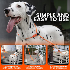 HOWGO slip lead with 360 swivel to prevent tangles during training and walks