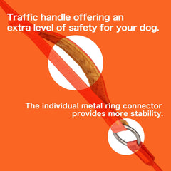 HowGo heavy-duty leash supports large, medium, and small dogs on daily outings.
