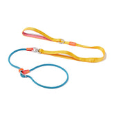 HOWGO slip lead with two padded handles for comfortable control during walks