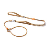 HOWGO slip lead with two padded handles for comfortable, controlled walks.