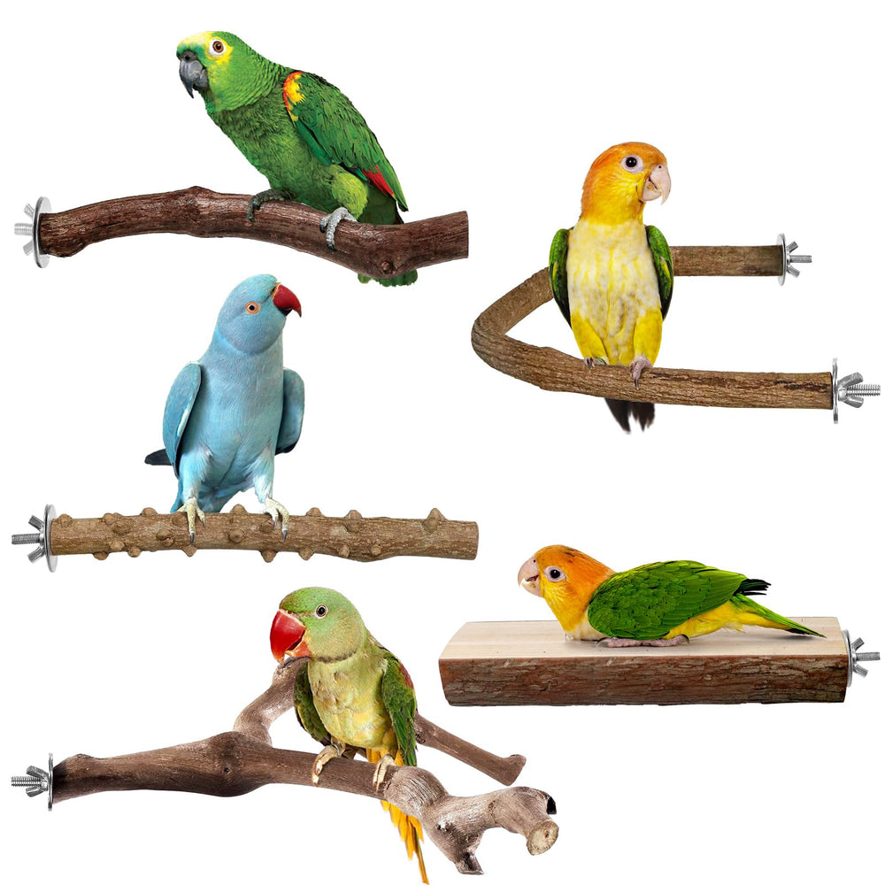 HPAWHOMEPART grapevines fork branch perch for climbing and beak exercise
