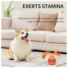 HPCDXBP small-dogs friendly ball ideal for indoor exercise on various surfaces.