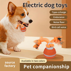 HPCDXBP squeaky ball with flashing light engages puppies during fetch and playtime.