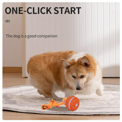 HPCDXBP USB-C rechargeable dog ball offers quick recharging for extended sessions.