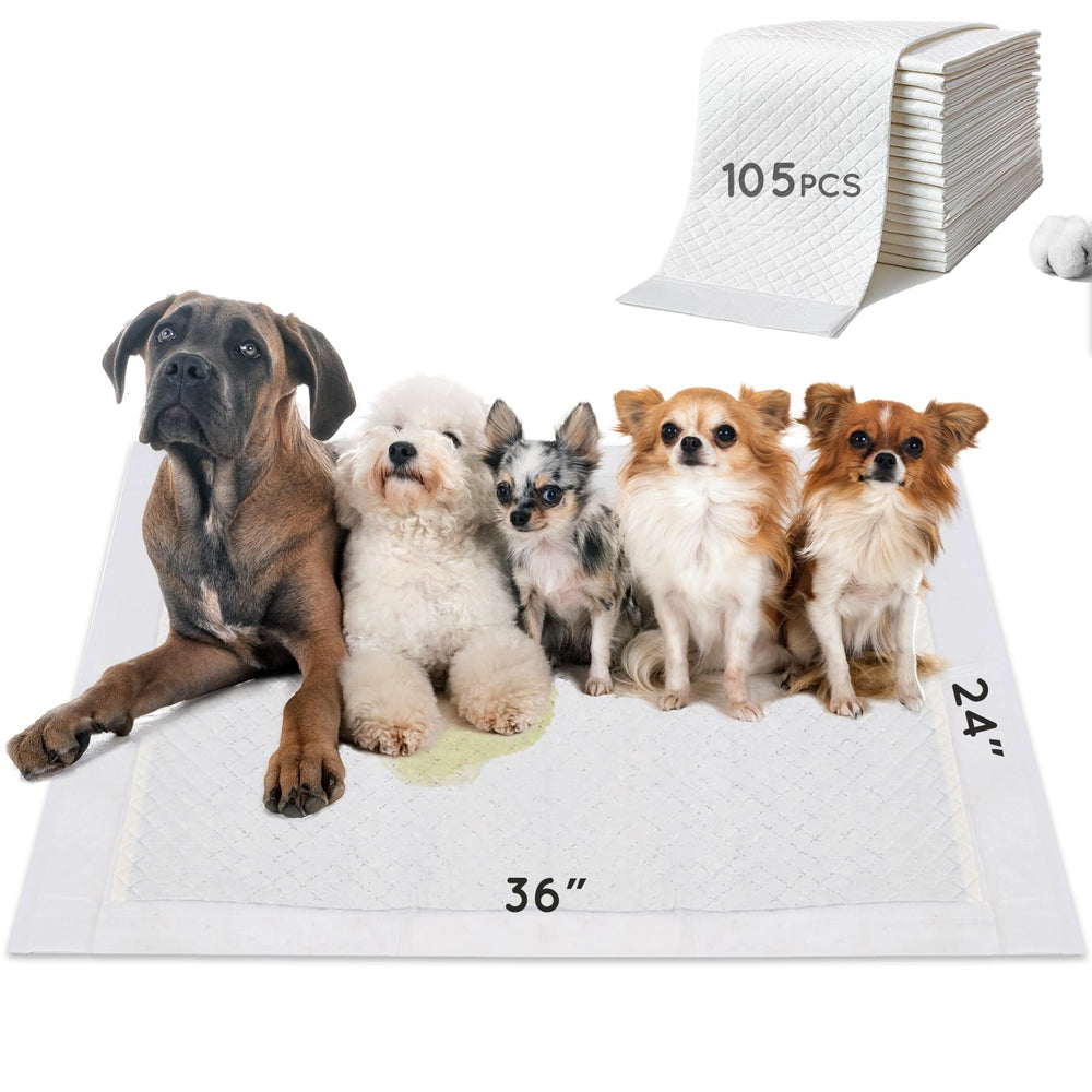 HQ4US 4LEGS dog pee pad 36x24 offers a large training surface with rapid absorption.