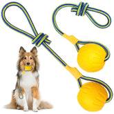 Hsei dog ball with rope in yellow, two-pack for fetch and tug games.