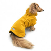 Hudson Hound Dachshund Raincoat back view keeps long dog dry in rain