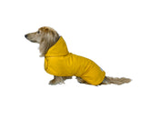 Hudson Hound dachshund raincoat in yellow, front view, waterproof protection for daily walks