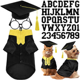 Huhumy dog graduation gown with yellow stole for festive photos.
