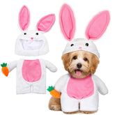 Huhumy Easter dog costume with bunny ears for a festive, photogenic look
