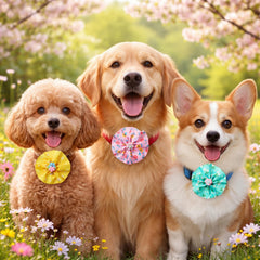 Huhumy elastic-backed bows fit most collars for quick styling