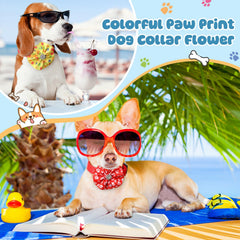Huhumy paw and bone pattern bows add color for celebrations