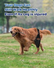 Huimpet Knee Brace side view demonstrates secure thigh wrap for comfortable wear.