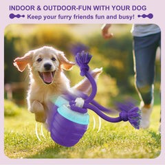Motion-activated rolling ball with rope invites chase and satisfies hunting instincts.