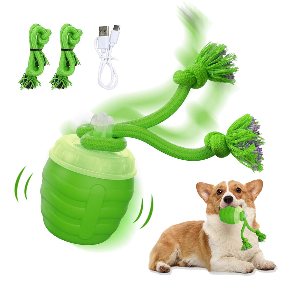 Huimpet interactive dog toy front view ready for playtime and mental stimulation