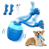 Huimpet interactive rolling ball toy in blue for small dogs' indoor play.