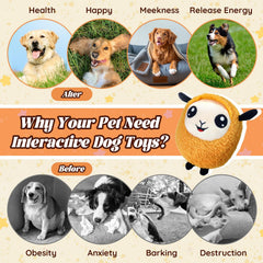 Huimpet USB rechargeable dog ball toy for convenient charging.