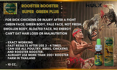 Dropper applying HULX Rooster Booster to a sick bird.