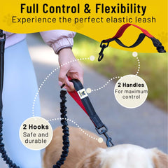 Hundefreund dual-dog attachment bungee enables walking two dogs with one belt.