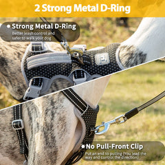 Huntboo lift handle close-up for quick support during training.
