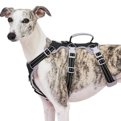Huntboo escape-proof dog harness front view highlights secure fit.