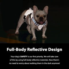 Huntboo Escape Proof Harness back D-ring and sturdy nylon for controlled walks