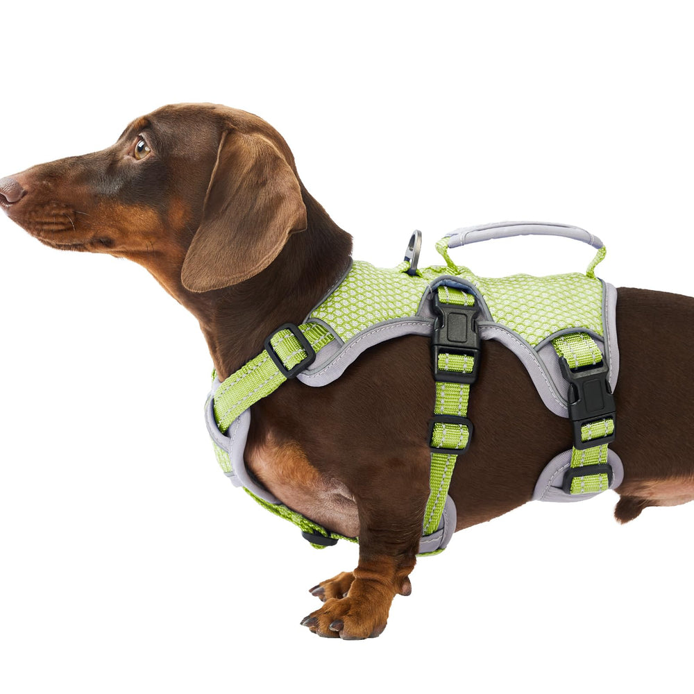 Huntboo Escape-Proof Harness front view secures daily walks with escape prevention.