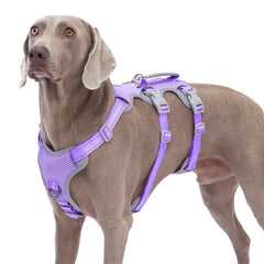 Huntboo Escape Proof Harness in lavender purple with front leash clip for secure control.