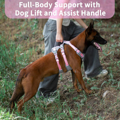 Huntboo six-point adjustment secures a custom fit for any dog