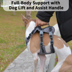 Huntboo six-point adjustment enables a precise, growth-friendly fit for many dogs.