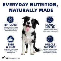 HUWZZE Freeze-dried capelin pieces photo emphasizes protein-rich snack for active pets