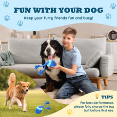 HVUATQ chase buddy toy small dogs action shot encourages active fetch sessions.