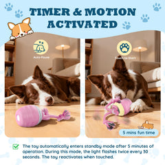 HVUATQ rope-attached ball enhancing tug and roll interactions