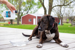 Hyalogic HyaFlex Pro Pure measuring dropper shows weight-based servings.