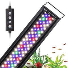 Hygger 22W 24/7 light showing sunrise mode for planted tank setup