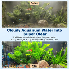 Hygger 7W UV light in a filter chamber boosts internal algae cleaning.