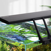 Hygger clip-on sunrise mode for a vibrant planted aquarium.