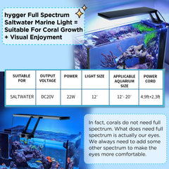 Hygger clip-on light with daylight setting boosts tank color and visibility