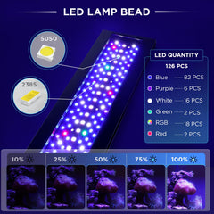 Hygger seven-color spectrum aids eye comfort and visual appeal in moonlight