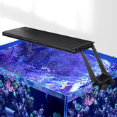 Hygger clip-on 24/7 saltwater LED light in sunrise mode for gentle coral acclimation