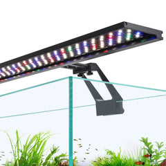 Hygger clip-on full spectrum LED light on a planted tank, showcasing natural colors.