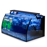 Hygger Horizon 8-gallon curved-tank view highlights a clear underwater perspective with 3D rockery.