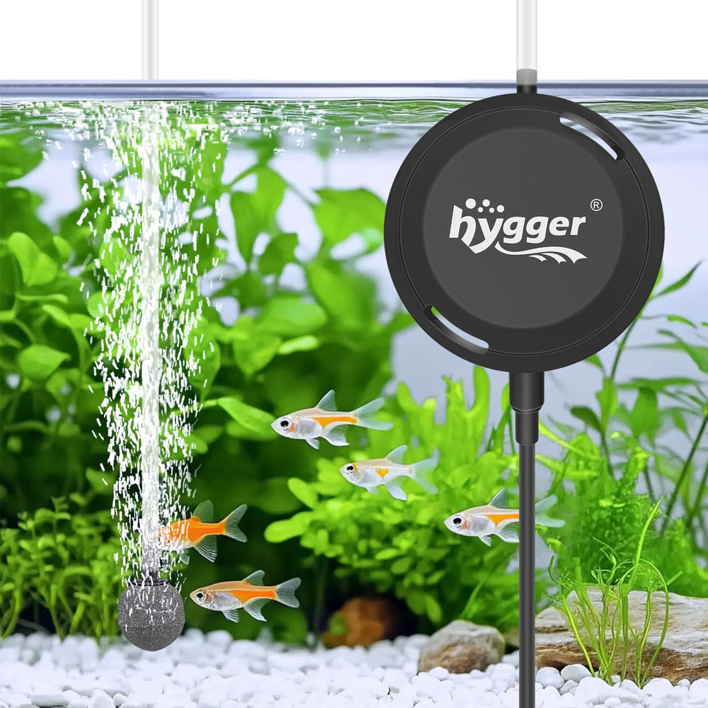hygger MINI 1.5W quiet pump on a small aquarium, low-noise aeration.